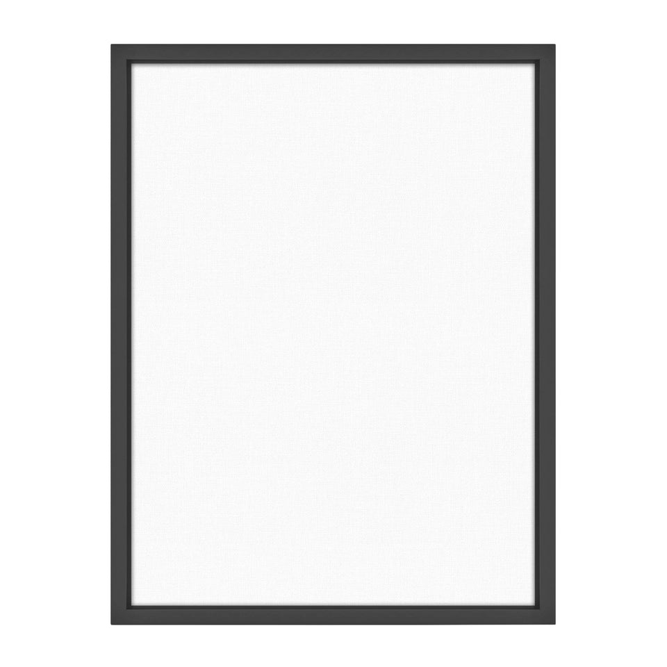 MCS Floating Frame with Canvas Included, Art Frames for Canvas Paintings with Adhesive Fasteners and Hanging Hardware, Black, 18 x 24 inch
